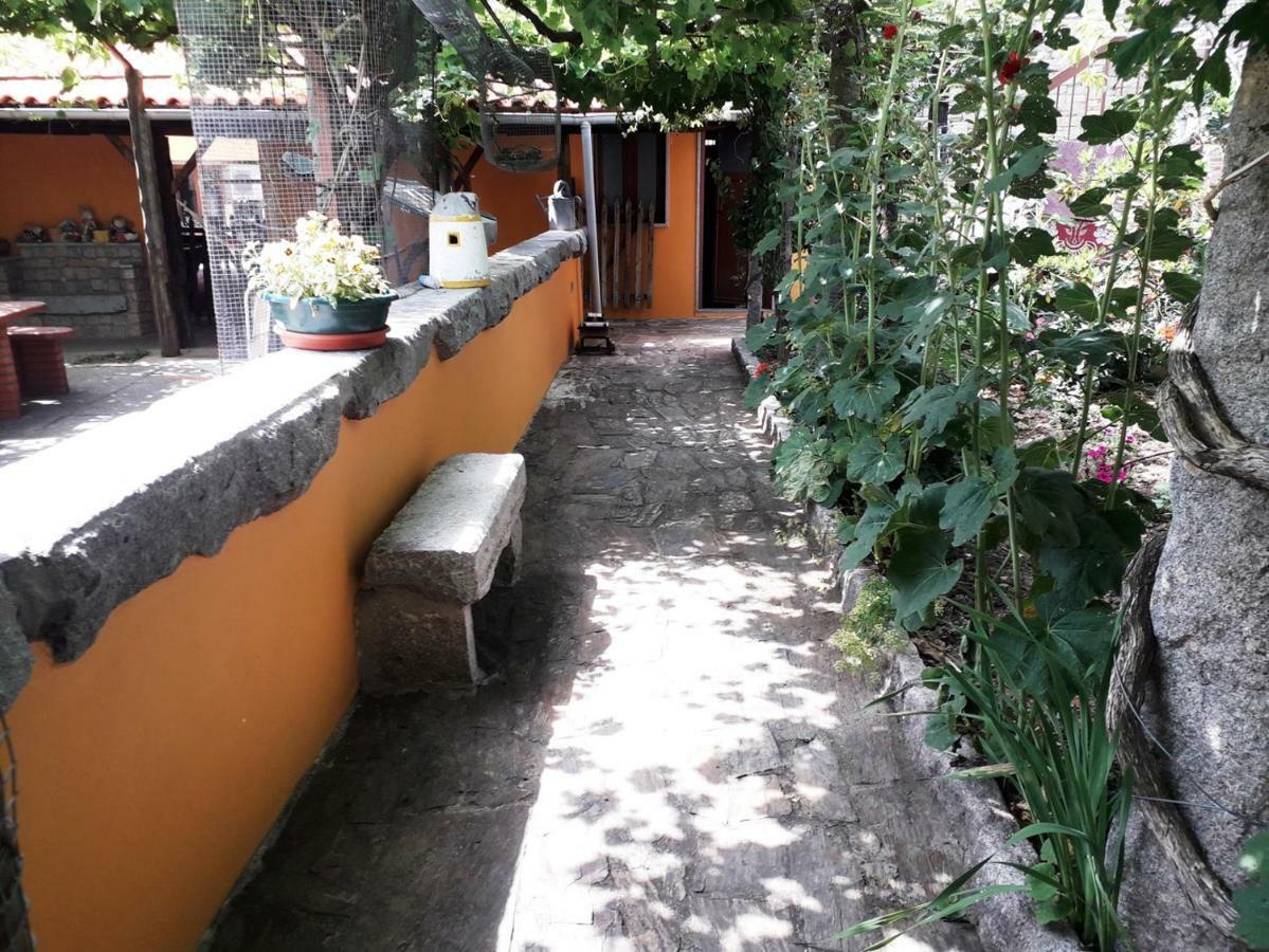 Quinta Da Moagem Villa Macedo de Cavaleiros Ngoại thất bức ảnh
